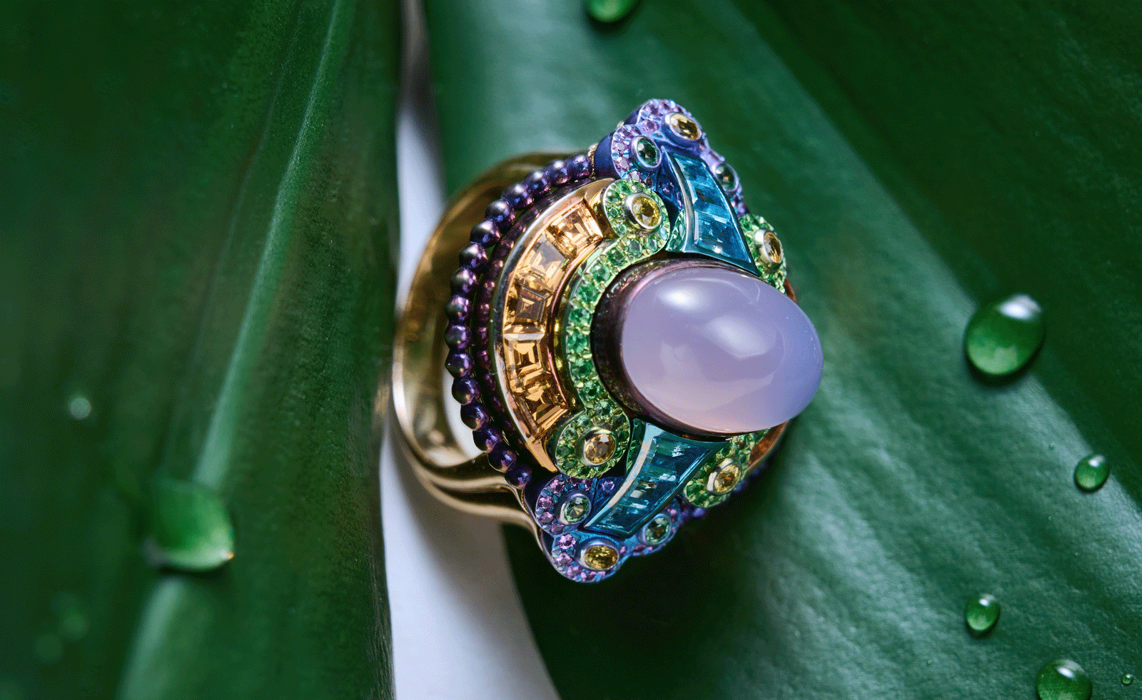 colourful ring on a green leaf