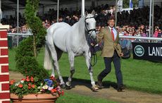 4T4_0106.jpg