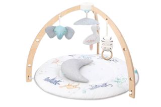 The Play + Discover Baby Activity Gym from aden + anais