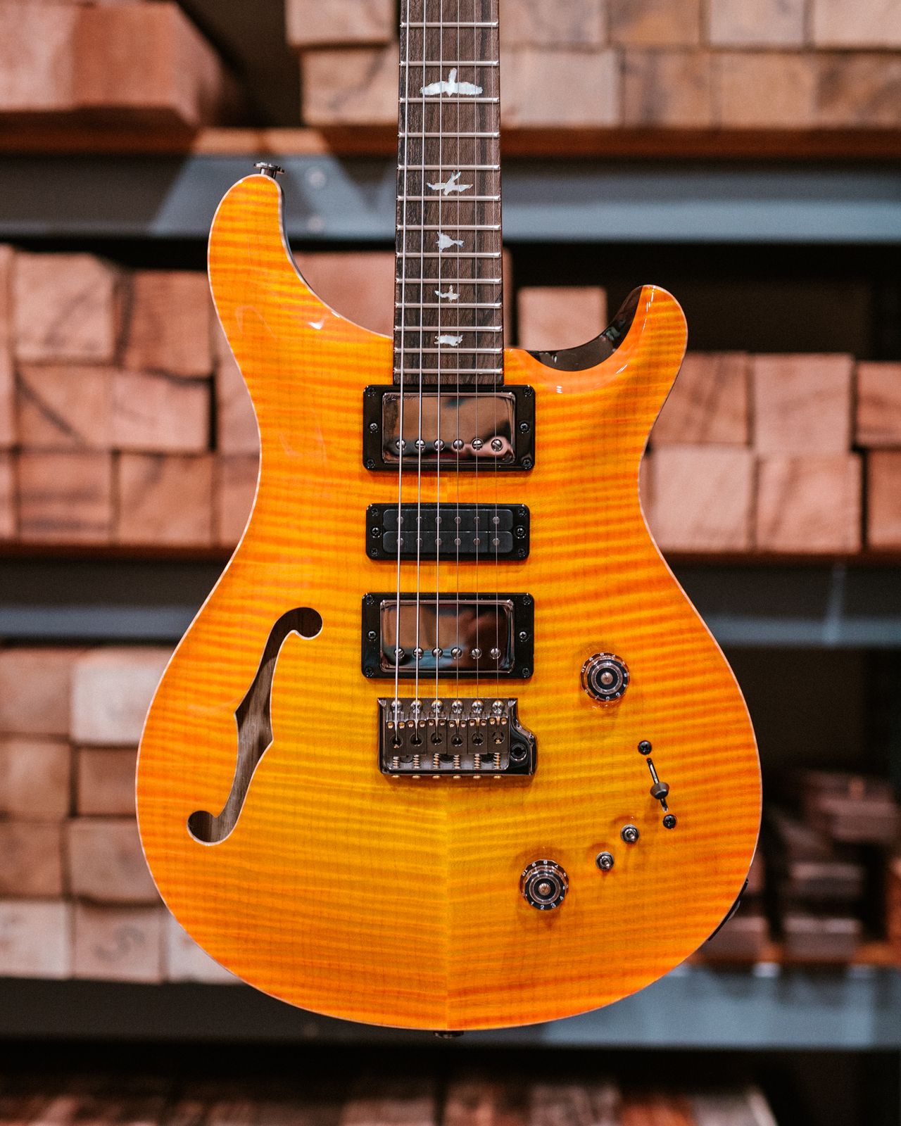 PRS's new PRS Private Stock Special Semi-Hollow guitar