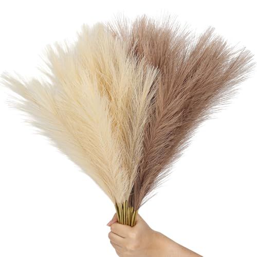 Jolyeak Pampas Grass (30-pieces)