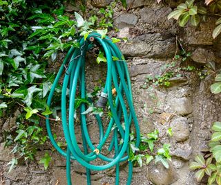 Garden hose stored on a nail