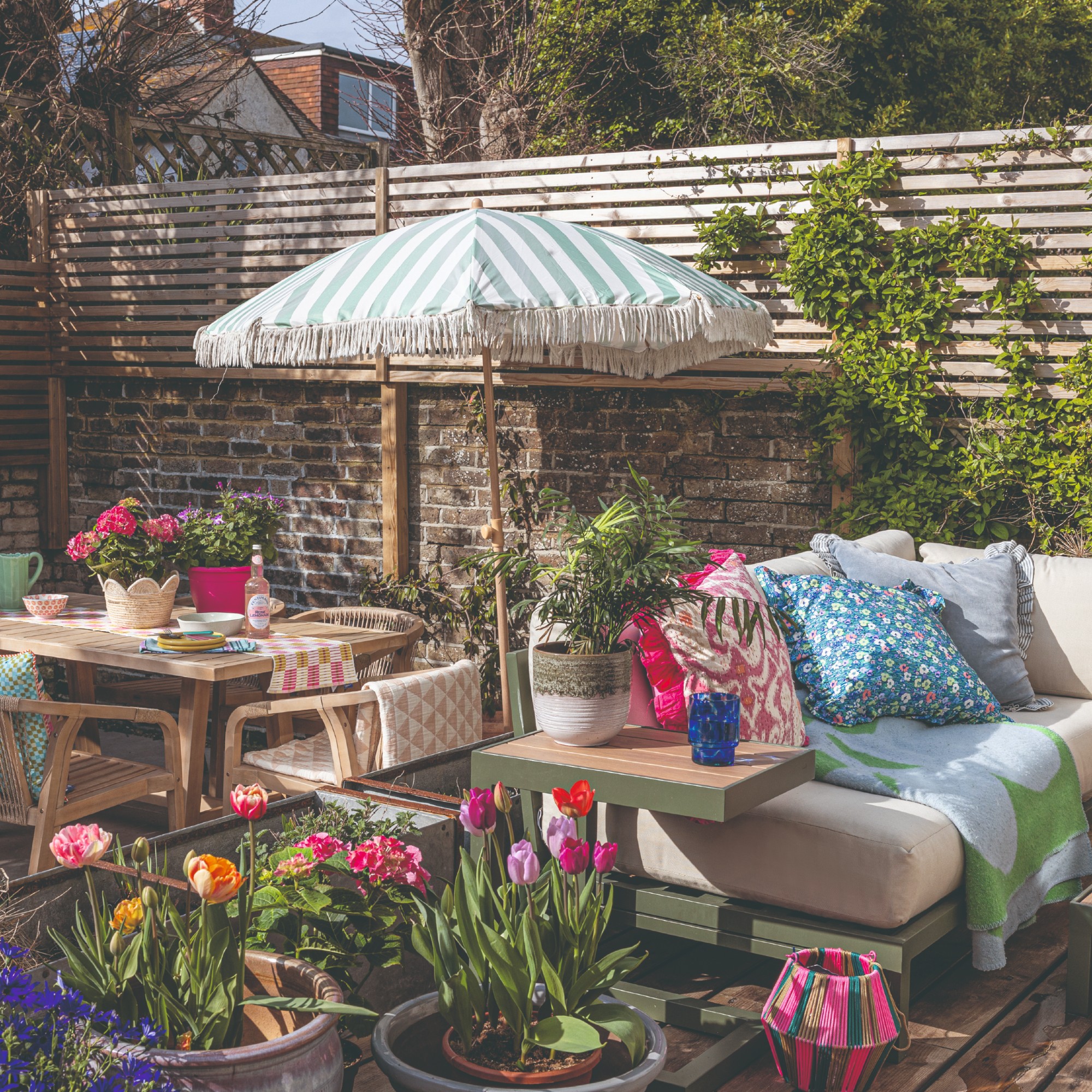 A garden with a designated dining area and a lounging zone