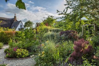 Cottage garden with gravel paths and colourful planting
