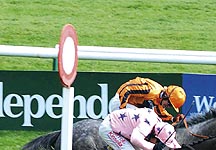 cheltenham-finish.jpg