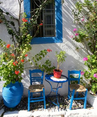 blue bistro outside greek house with climbing plants