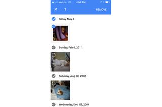 The mobile version of Google Photos lets you remove miscategorized photos, like when it thinks your daughter is a cat.