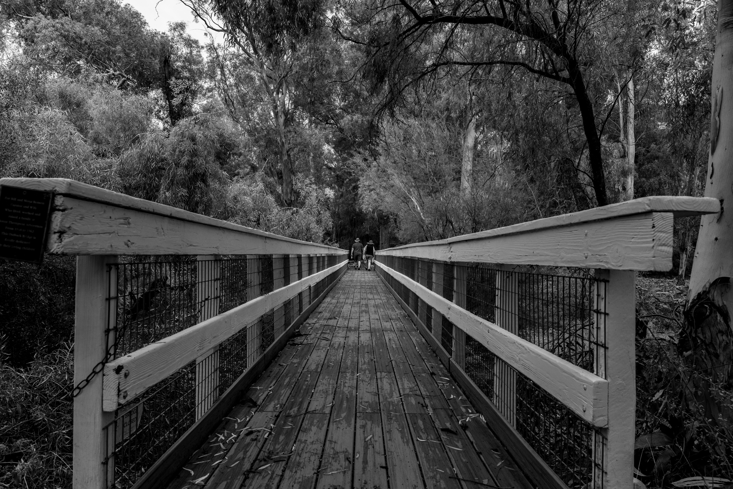 GuruShots - Monochrome Moments Jan 26