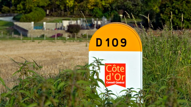 Cote d'or