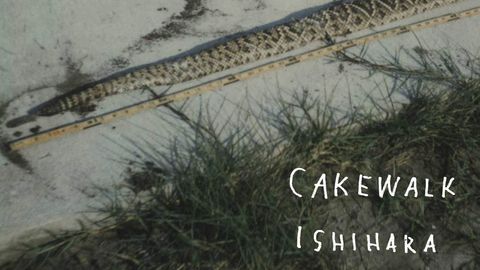 Cakewalk - Ishihara album artwork