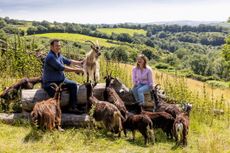 Adam Short and Eleri Pugh with their Old English Goats at Temple Farm in Somerset. Credit: Millie Pilkington