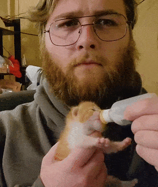 Majuular feeding a kitten