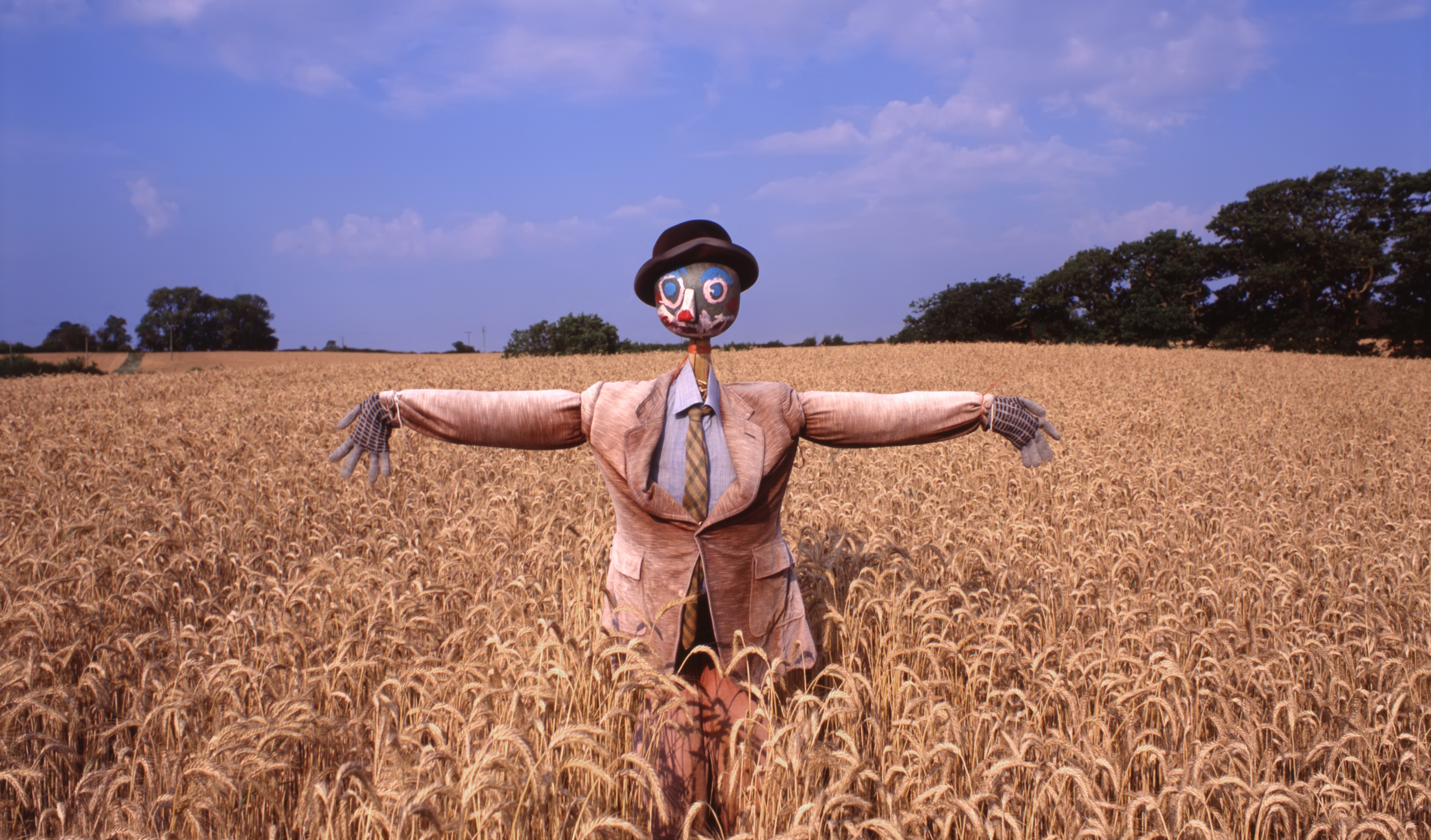 A scarecrow in a bowler hat standing in a field