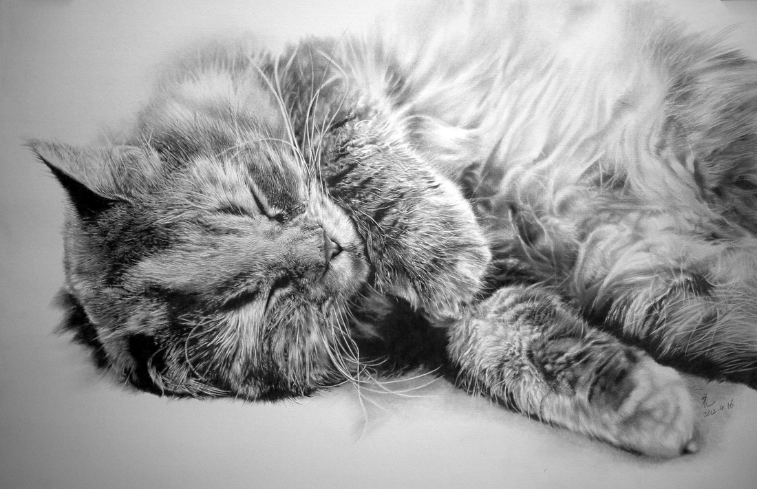Artist Creates Hyperrealistic Pencil Drawings That Are Simply Surreal
