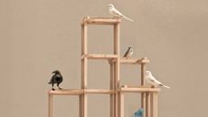 Birds perched on wood-framed structure, designed by architect Frida Escobedo