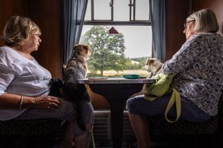 Photograph titled Looking by Alexander Swyer, winner of the My Railway Journey category in the Landscape Photographer of the Year 2023 competition