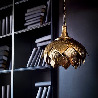 black cupboard with books and golden hanging lamp