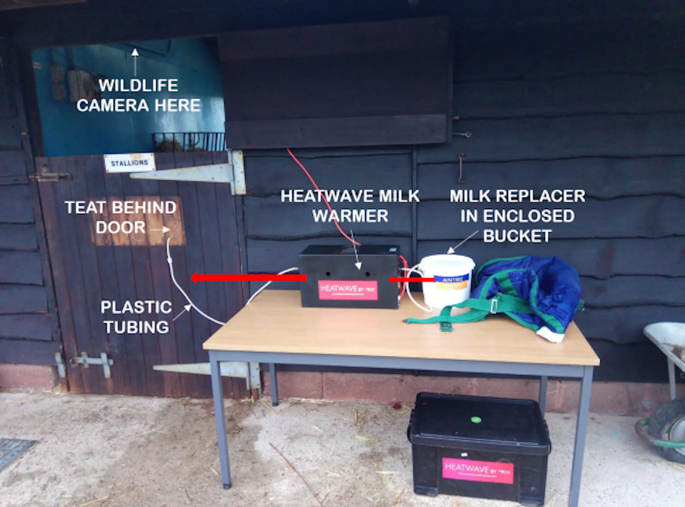 3. Artificial suckling system set up and operation. (The Donkey Sanctuary)