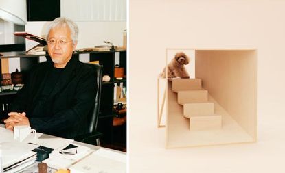 Two photos: on the left is designer Kenya Hara - a Japanese bespectacled man with white hair, dressed in black, sat at his desk; on the right, is a blonde teacup poodle sat at the top of the stairs of his plywood dog house.