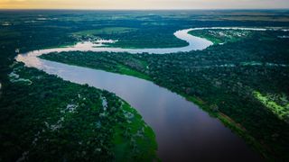 Uma foto aérea de um grande rio serpenteando por uma floresta