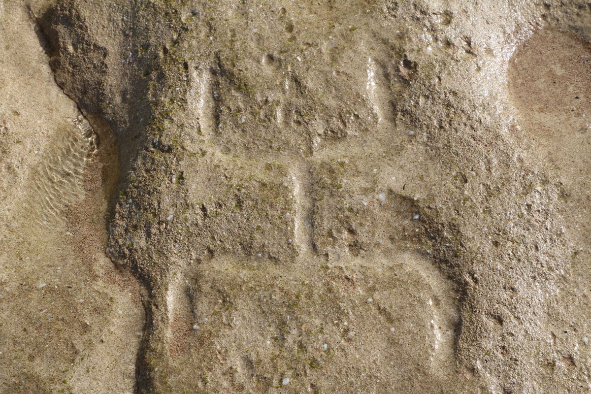 In Photos: Petroglyphs Discovered in Hawaii | Live Science