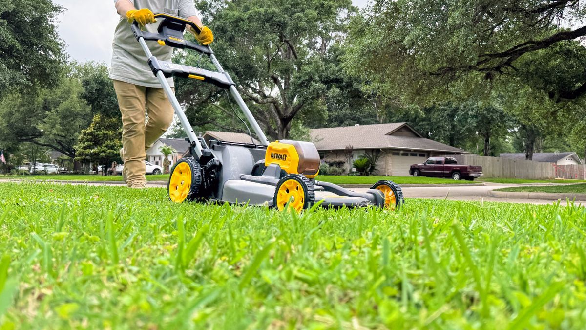 Dewalt DCMWP600X2 60V MAX Cordless Push Mower being tested in writer&#039;s home