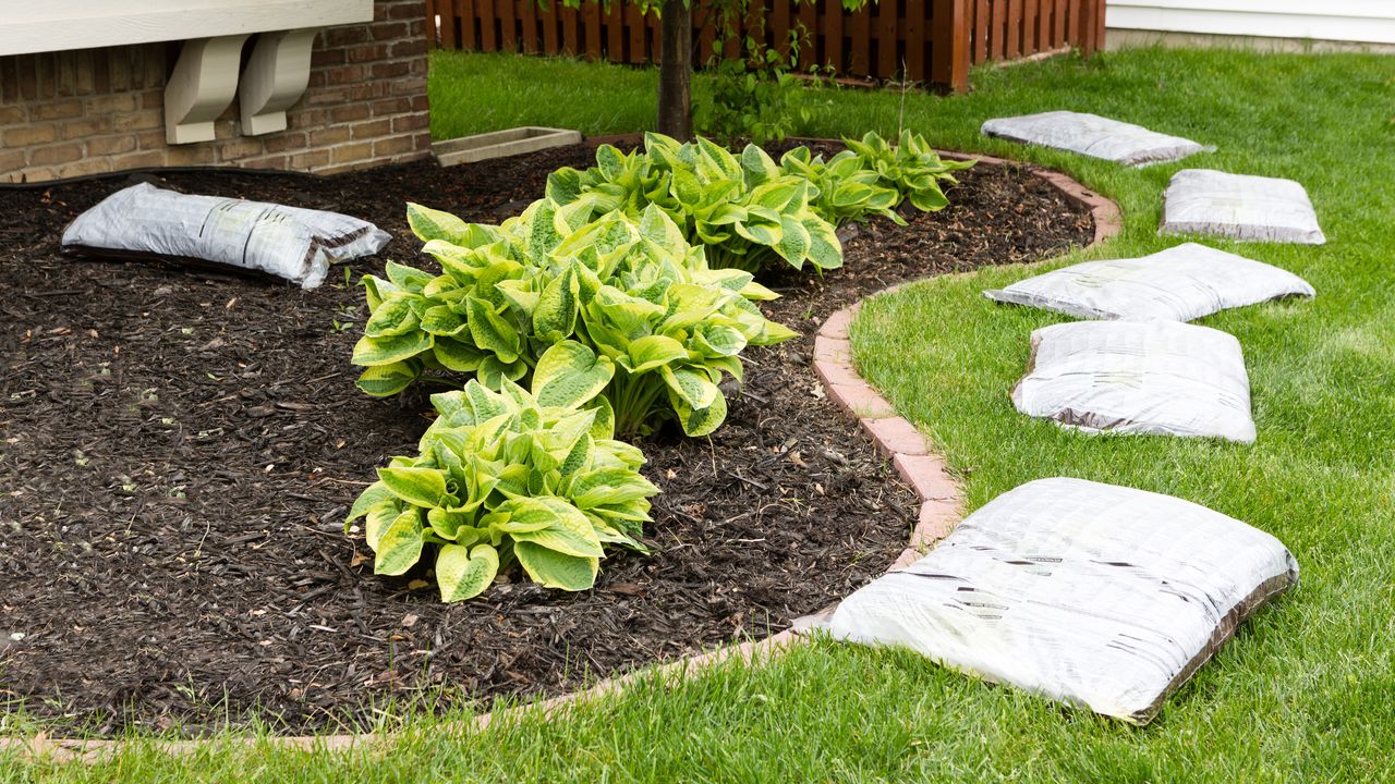 Bags of mulch lining a garden bed full of hostas