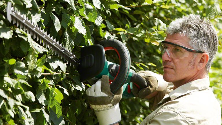 Best Cordless Hedge Trimmers Real Homes