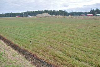 soil found in a cranberry bog is made up of alternating layers of organic material