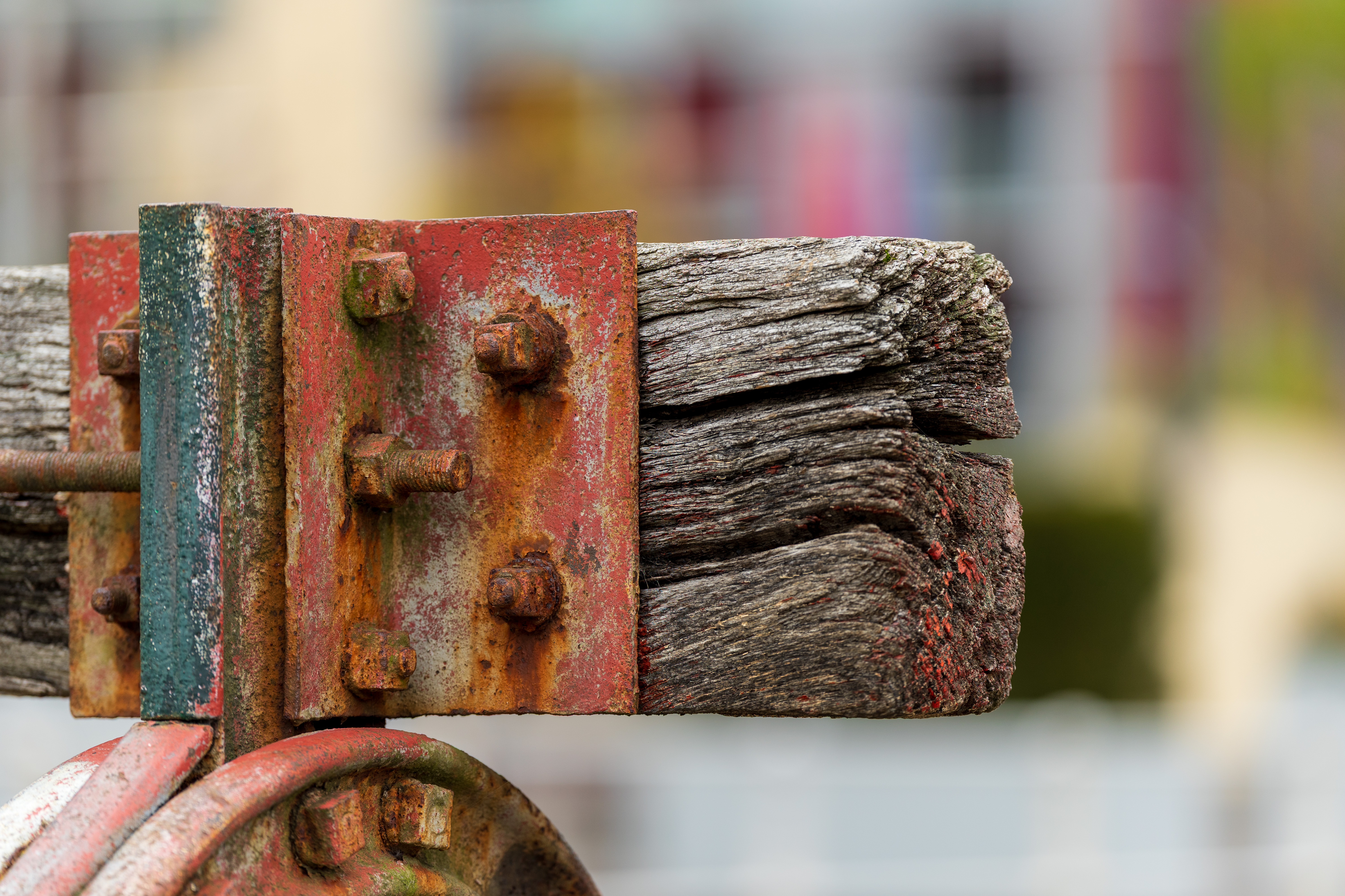 Sigma 200mm f/2 DG OS Sports example shot