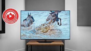 The 65-inch Philips OLED809 TV photographed on a wooden TV stand with an image of wilderbeest crossing a crocodile-infested river on the screen