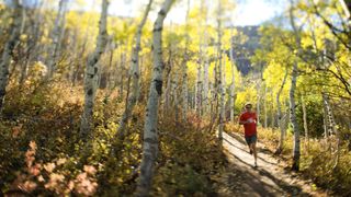 trail running in fall