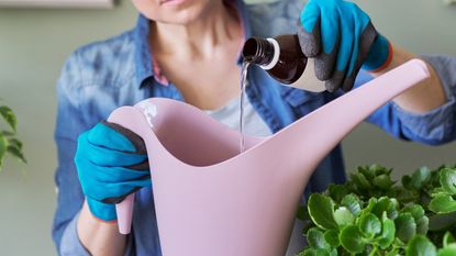 A woman pours a clear liquid from a bottle into a pink watering can