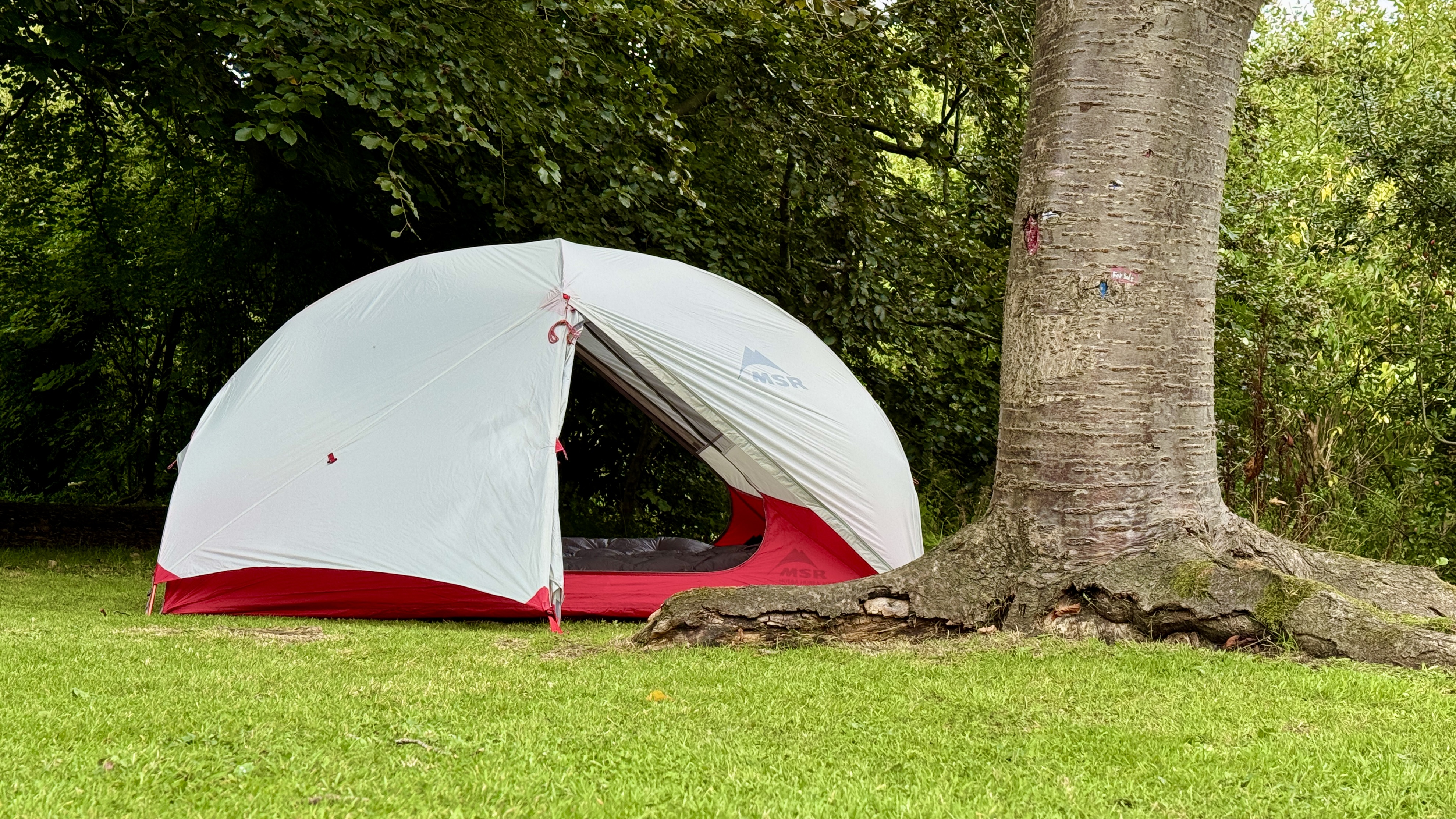 MSR Hubba Hubba NX pitched