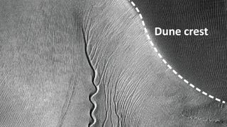 A gray scale image showing a labeled "dune crest" at the edge of a Martian gulley with wind patterns showing the geology of the formation.