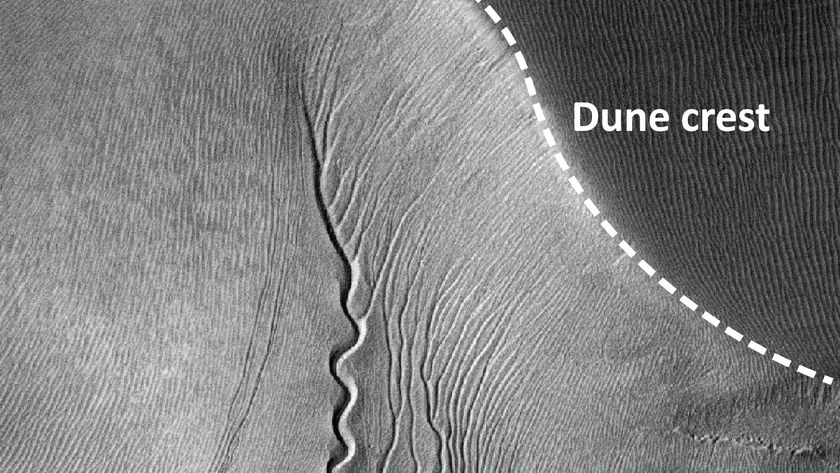 A gray scale image showing a labeled &quot;dune crest&quot; at the edge of a Martian gulley with wind patterns showing the geology of the formation. 