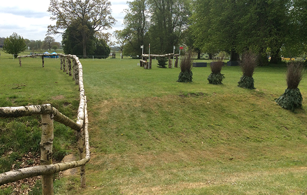 Badminton Fences 2017