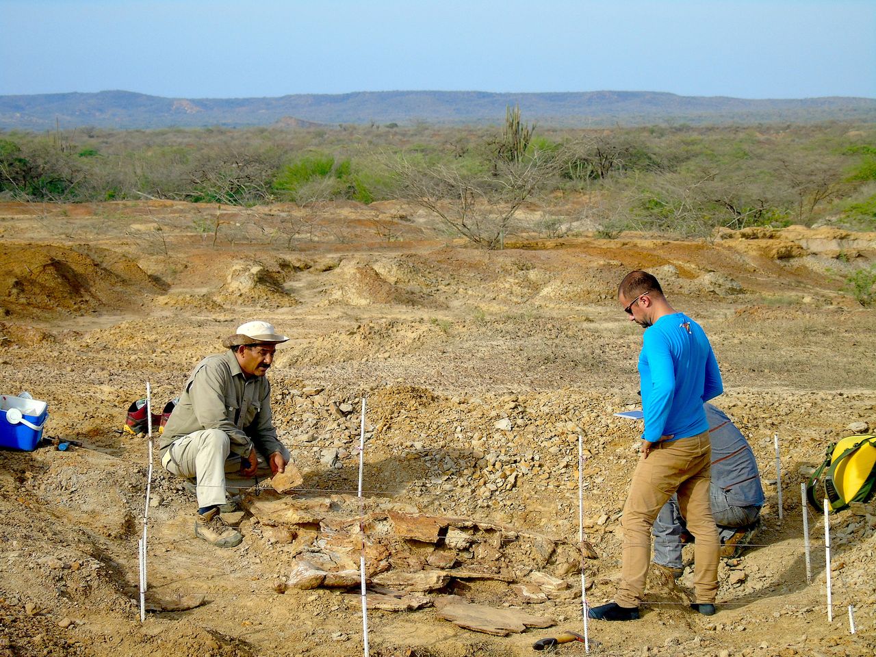 Rodolfo Sánchez (left) and Edwin Cadena (right) work together to excavate the enormous turtle fossils found in northern Venezuela.