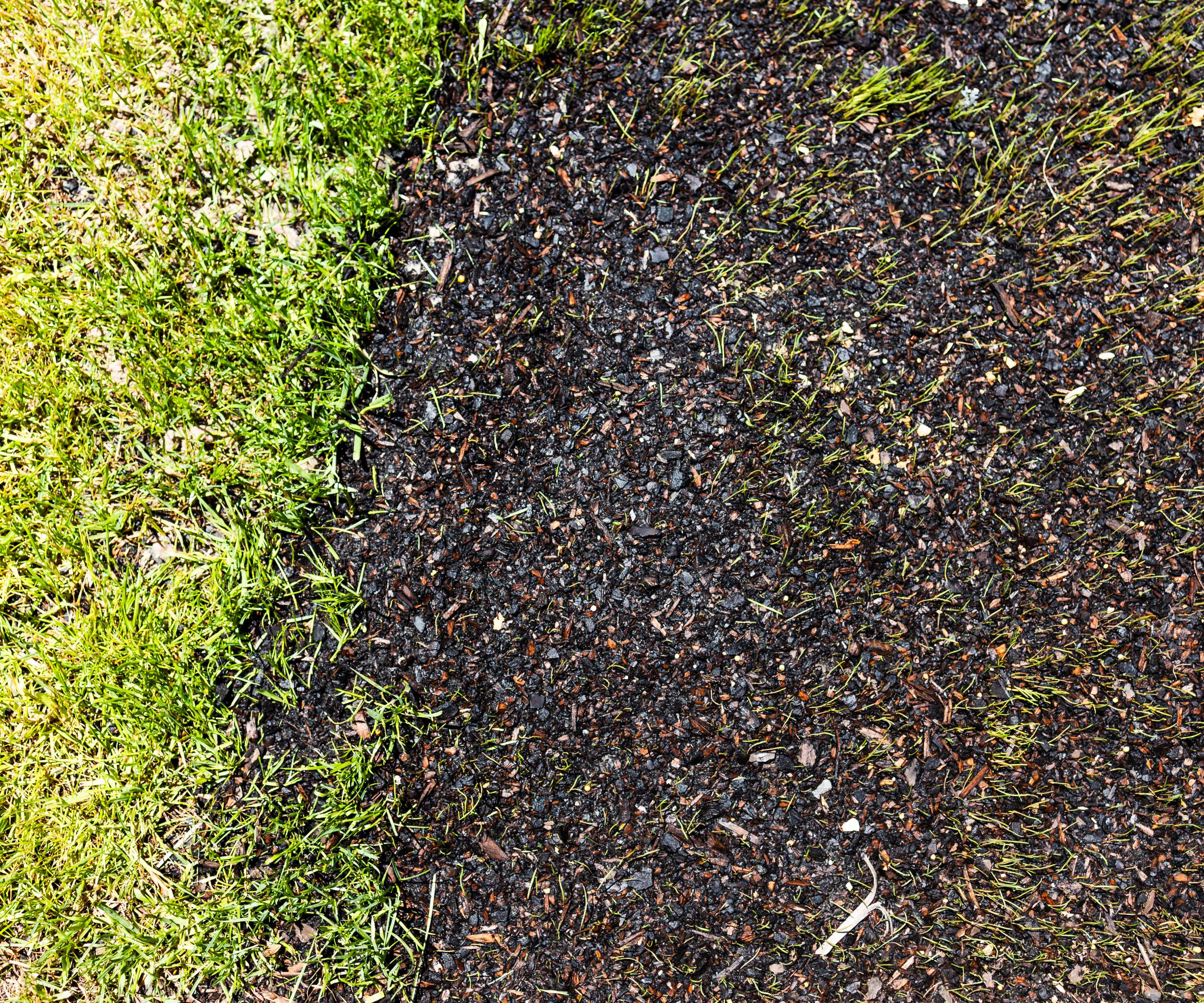 Bare soil and grass from above