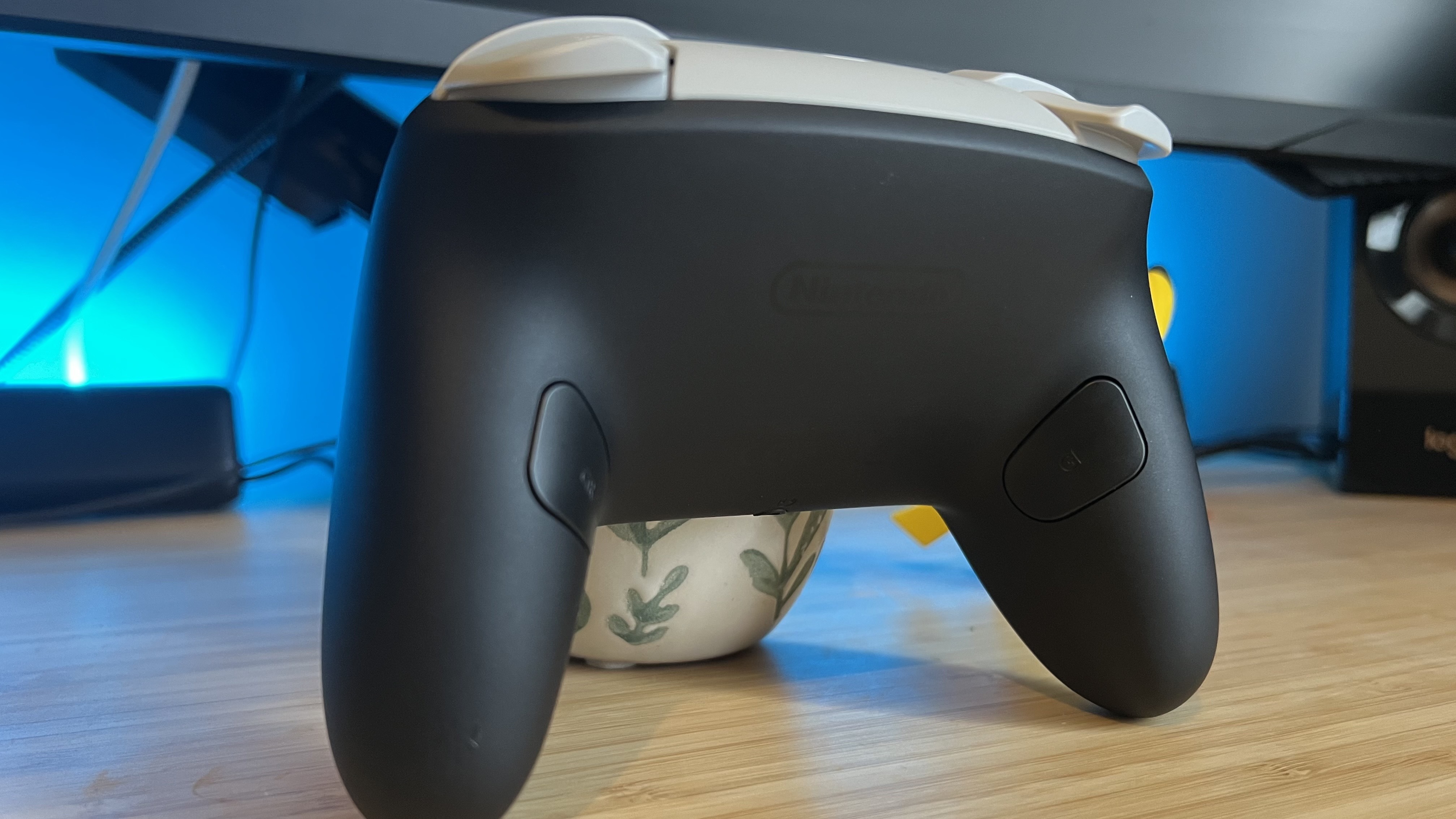 Rear of Nintendo Switch 2 Pro Controller showing back buttons