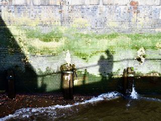 Shadows against the river bank of the Thames