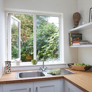 kitchen sink with garden view