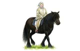 Native horse breeds of Britain