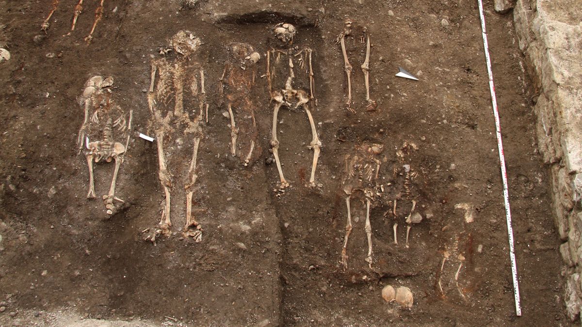 14th-century Ashkenazi Jews had more genetic diversity than their ...