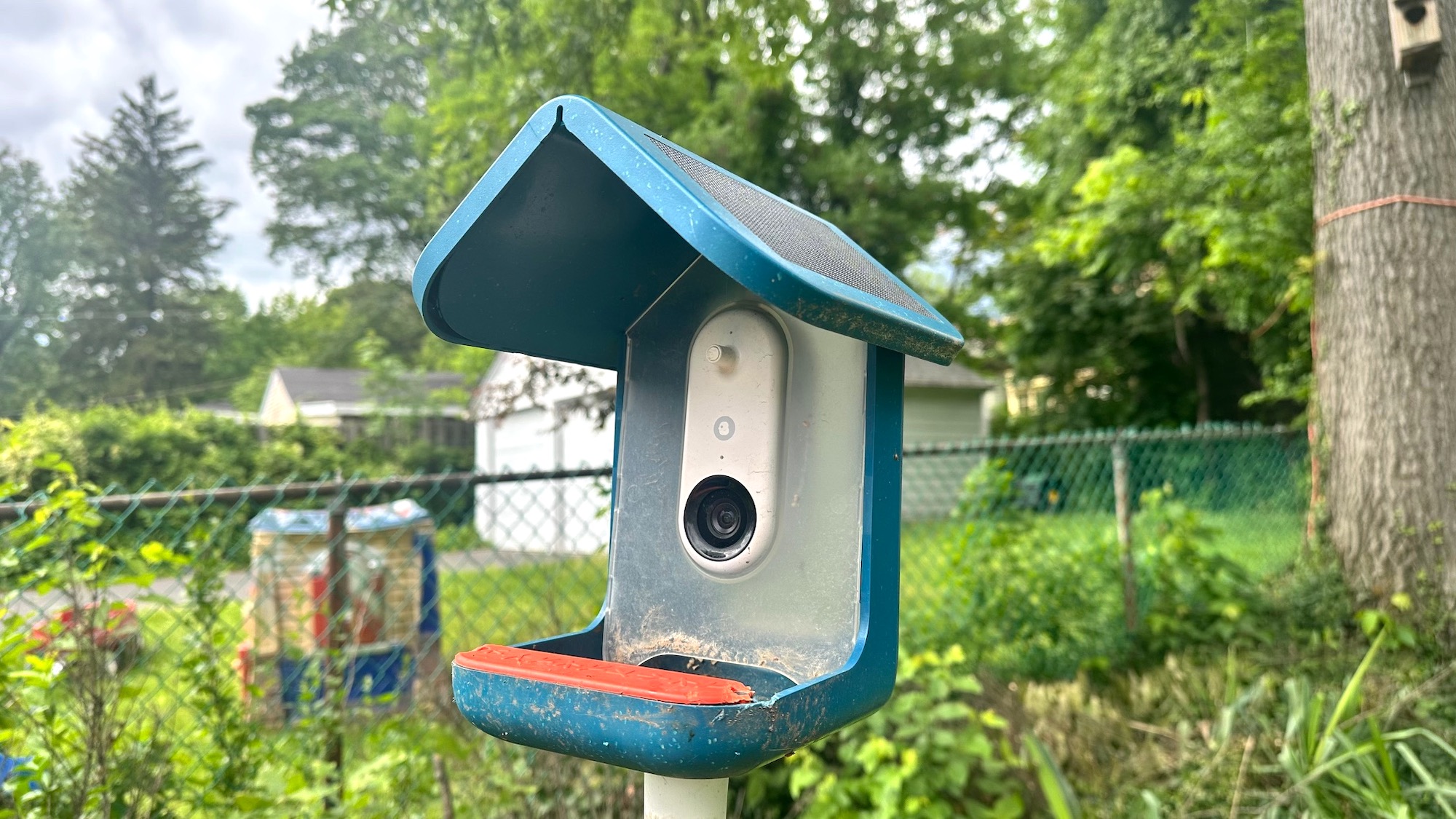 Bird Buddy