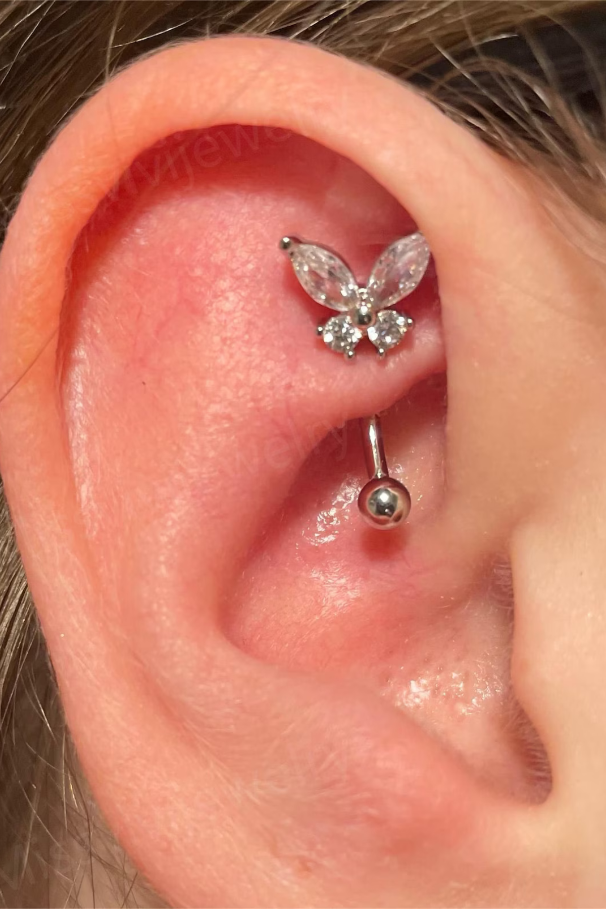 silver butterfly barbell earring in rook piercing