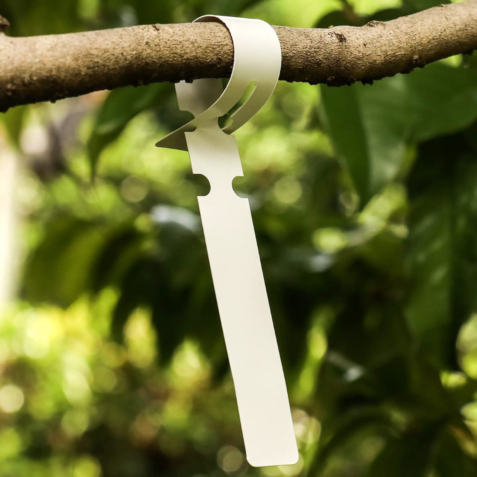 QWORK, Plastic Tree Labels, Hanging Tags, White, 300pcs