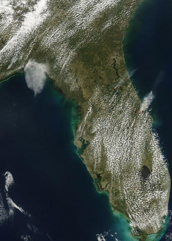 The three fires burn near the eastern coast.