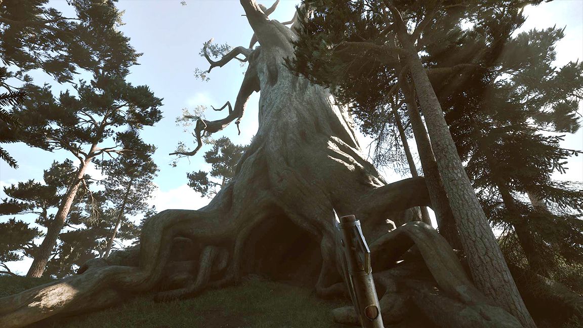 Among The Trolls by Avantgarden Games; a large tree stands in a forest, the sun highlights its bark