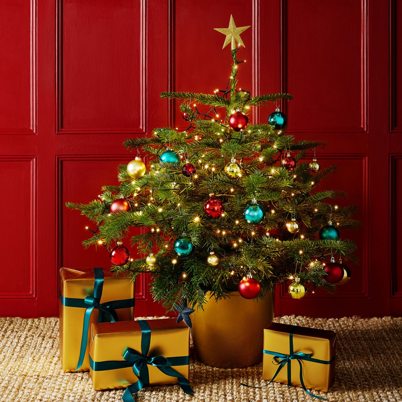 Lidl real Christmas trees are back and start from £16.99 Ideal Home